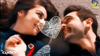 شفتو آخر ما سوى قأل ايش قال يهوى