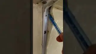 Дезинсекция