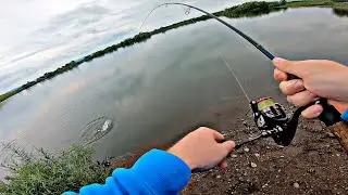 I'VE BEEN WAITING FOR IT 😍 OH HOW I'VE BEEN WAITING!! The jig made my fishing trip