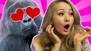 GORILLA REINA IS HORNY