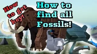 HOW TO FIND BLACKFRIDAY KEY! EVERY LOCATION OF THE FOSSILS! (Dino Arcade)