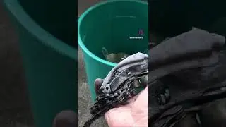 XTR thrown to trash