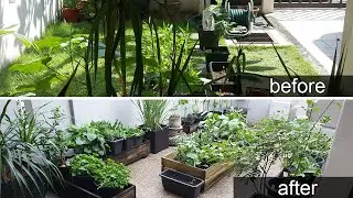 MY EDIBLE GARDEN | Garden Tour | Small garden | Malaysia