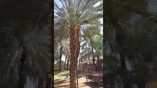 Самые красивые места. Умра. Мекка и Медина. (4)