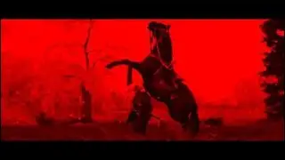 Ghost of Tsushima_20200813004048