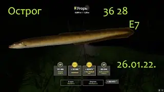 РР4! Острог трофейный Угорь!)))