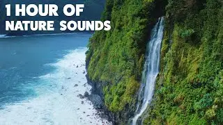 1 Hour Of Relaxing Nature Sounds For Meditation