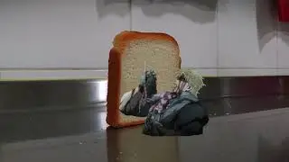 SHIZAAA!!!