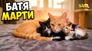Новые 24 часа с новорожденными котятами и нашими домашними животными / SANI vlog