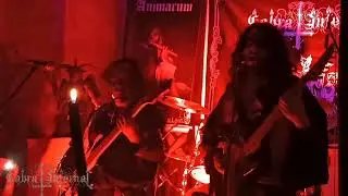 CABRA INFERNAL  - LIVE