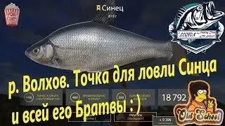 Russian Fishing 4. p. Volkhov. Point for catching Cinza, Rybets.