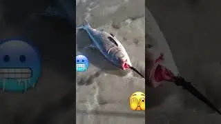 Вот это клюнула!Так клюнула!