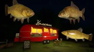 Tench & F1 Copper Lake | Russian Fishing 4 