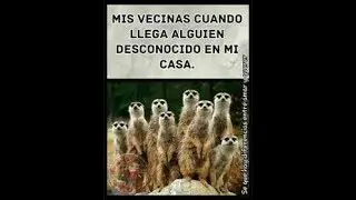 🤣🤣Para Las Vecinas Chismosas🤣🤣 Rober Nsr FT Lil Duddy [Audio Oficcial]