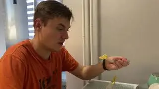 ЗАВТРАК В АМЕРИКАНСКОМ СТИЛЕ || У КОГО БОЛЬШЕ БИЦЕПС