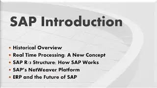 SAP Fundamentals - Introduction