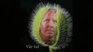Vår tid
