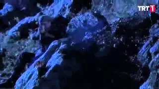 Sakarya firat - mahmut ve osman kurtuluyor