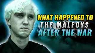 What happened to the Malfoys after the War in Harry Potter Hogwarts