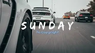 ORGAN, Stige - Cricket (we nice)《Sunday No Copyright Music》