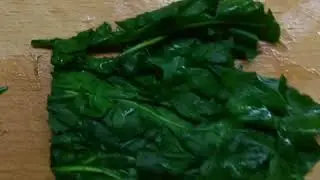Заготовка одуванчика для рыбок