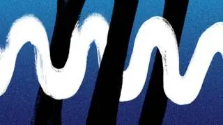 Zebra and Snake - Sweetest Treasure (Official Video)