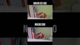 Что лучше Nikon D5100 или Nikon D90?