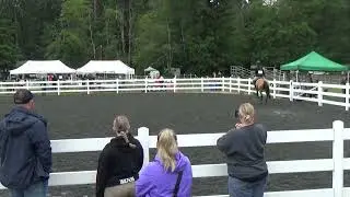 Abbie & Better Than Chocolate, 2'3" Hunter CVPC Show June 2023