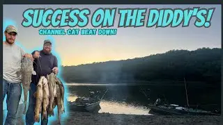 Success on the DIDDY’S!