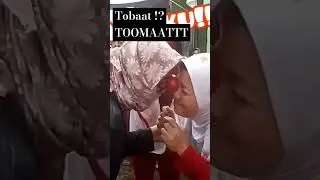 Tomat bikin TOBAT