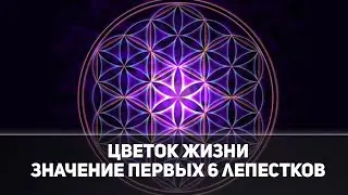Цветок жизни. Значение первых шести лепестков.