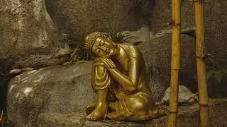 Zen Harmony ~ Relax Music