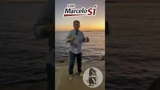 EL MAGISTERIO NO SE CALLA …... AL CONTRARIO DICE:
