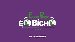 PODCAST "ESSE PAPO É O BICHO" aborda a odontologia pet - 27/08/2024