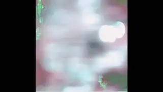 ᴅɪꜱɪɴᴛᴇɢʀᴀᴛɪᴏɴ ɢᴀɴɢ