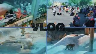✅ ЛЕТНИЙ Влог: ОГРОМНЫЙ Зоопарк, Брейк Данс ШОУ, НЕОБЫЧНОЕ Желе, ЛУЧШАЯ Кафешка!
