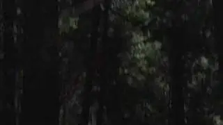 Simon Says Trailer (TADFF 2007)
