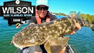 EPIC FLATHEAD COMPETITION  🐊🐊🐊 PRE FISH + COMP ACTION