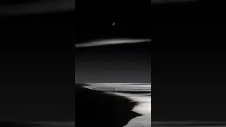 Антиреспект-Там