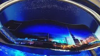 Дубай. Dubai mall. День второй.