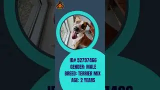 Pet of the Month - October 2023