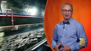 Всё обо всём. 60 лет ЕВРАЗ ЗСМК. Спецвыпуск 57 от 09.09.24