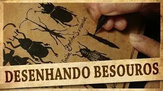 DESENHANDO BESOUROS | 10 FAMÍLIAS DO BRASIL