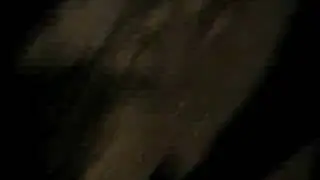 king is leaving kingdom