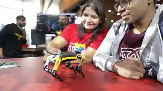 Engineer Your Future: Discover World-Class Education at the University of Waikato