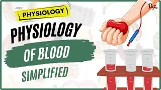 Blood Physiology