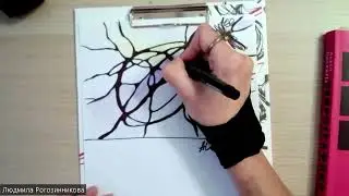 АСО и АСО - экспресс. В чём отличие ?