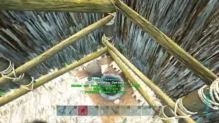 Ark survival