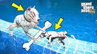 WHITE PITBULL JACK HEALS PITBULL VENOM'S BONES - GTA 5