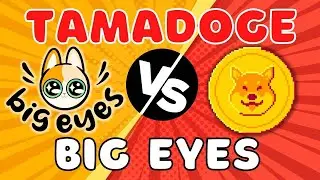 Tamadoge VS Big Eyes!! Big Eyes Token Review & Is Big Eyes Copycatting Tamadoge? Can It 100X?